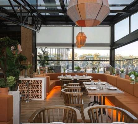 Buena Vida - Allure Decor Design