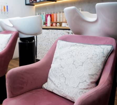 241009270_1491207321231287_4513731412661143354_n