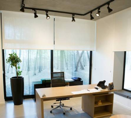 35999545_875239942677647_2282574598685851648_n